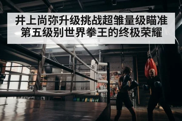 井上尚弥升级挑战超雏量级瞄准第五级别世界拳王的终极荣耀