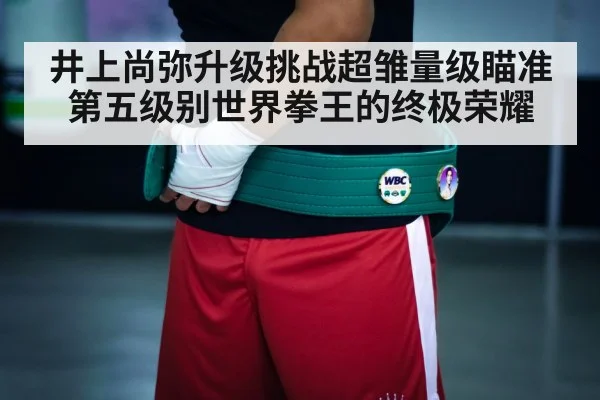 boxing championship belt