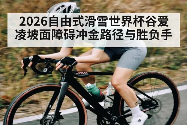 2026自由式滑雪世界杯谷爱凌坡面障碍冲金路径与胜负手